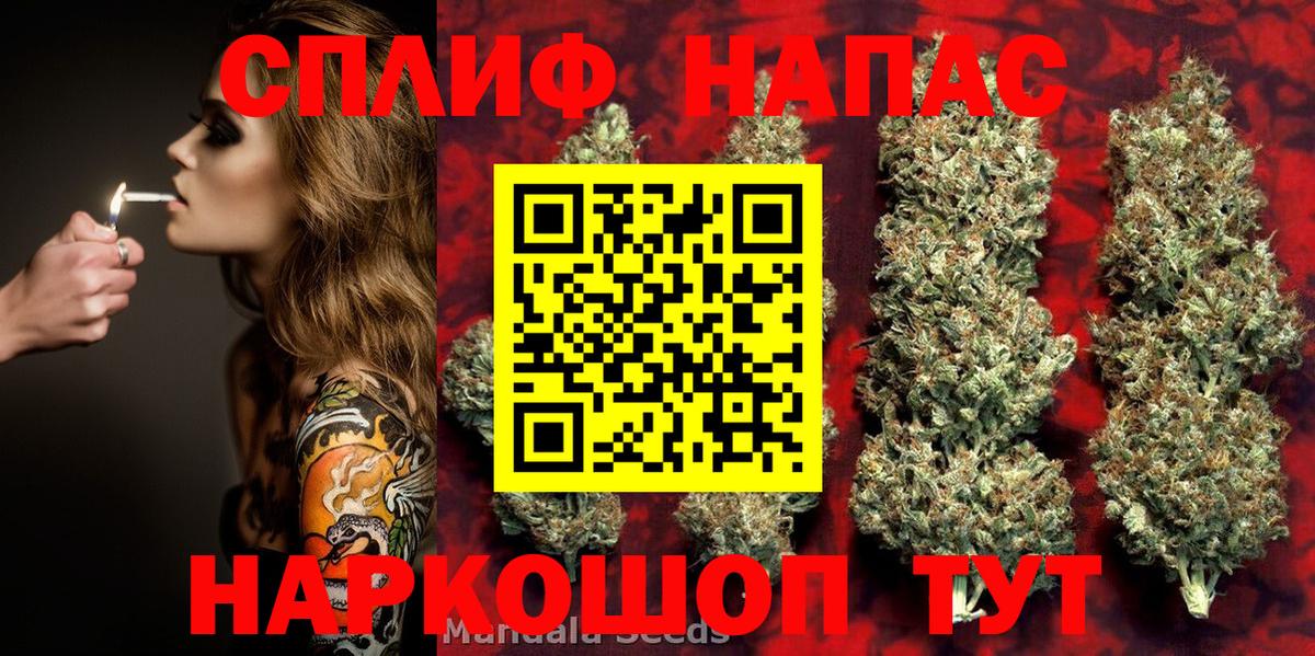 Конопля гибрид Ноябрьск
